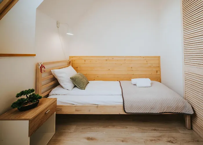 Lägenhet Visitzakopane - Olimpijski