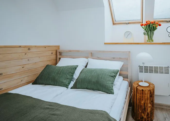 Apartamento Visitzakopane - Olimpijski